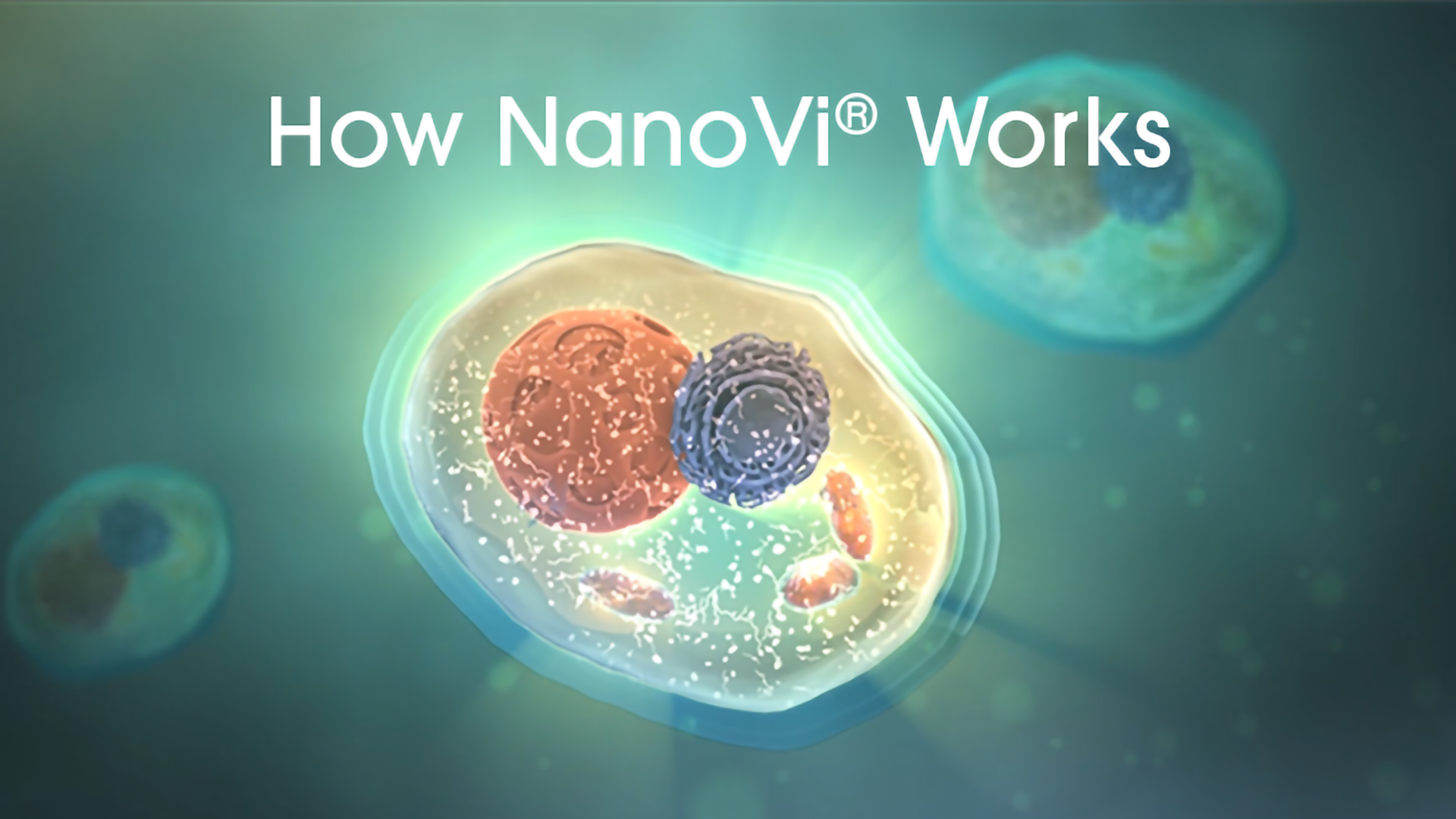 How NanoVi Works